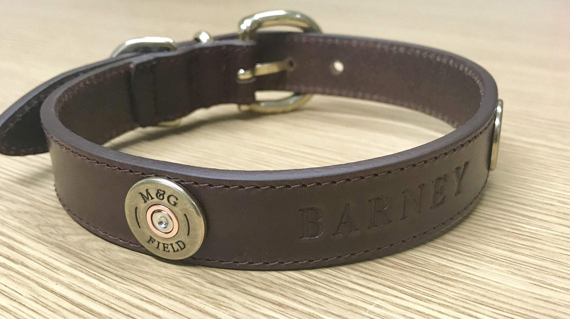 How To Measure For A Dog Collar