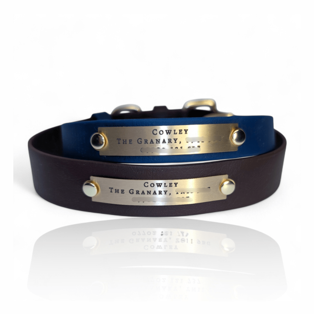 Engraved brass nameplates fitted to two dark dog collars