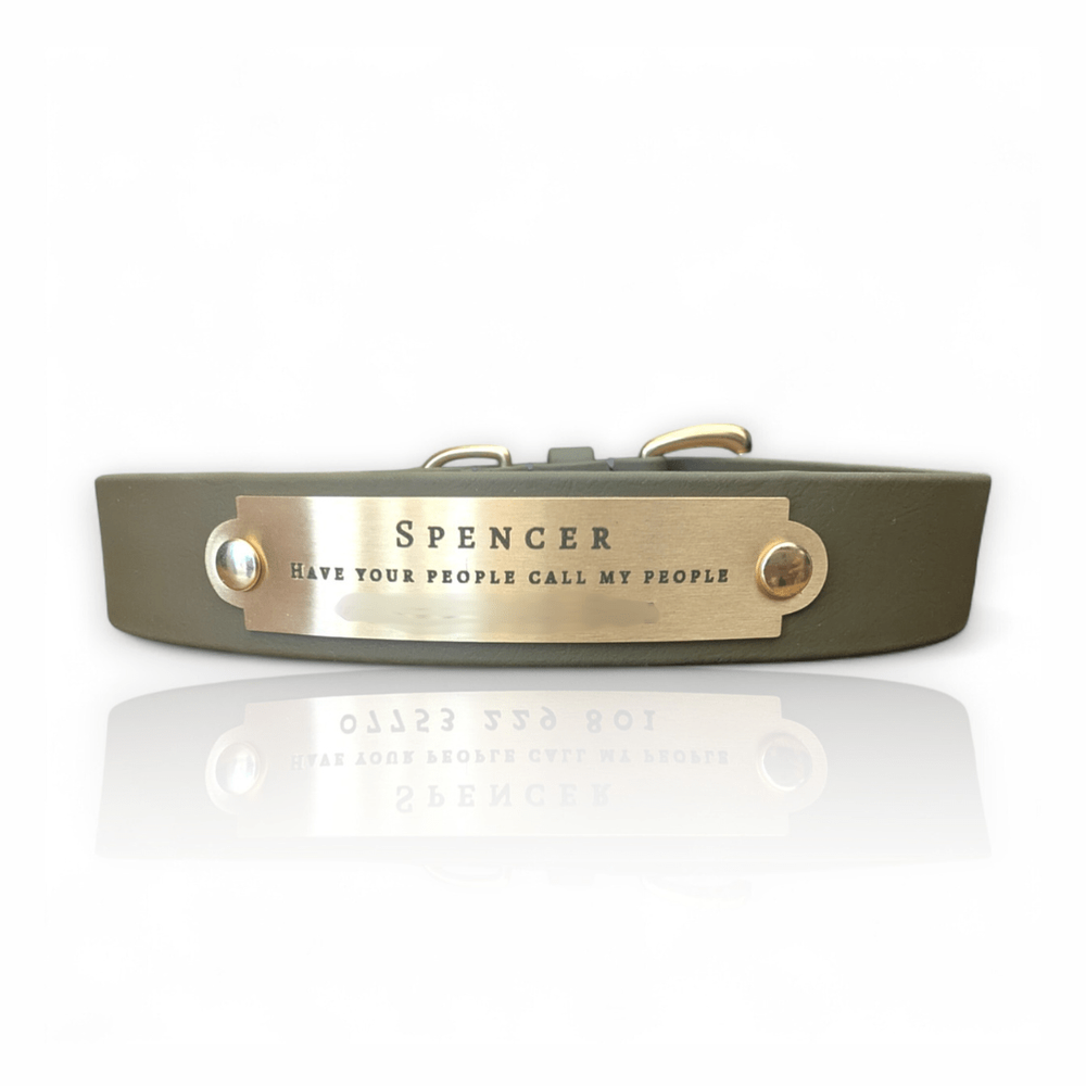 Engraved brass nameplate fitted to an olive dog collar