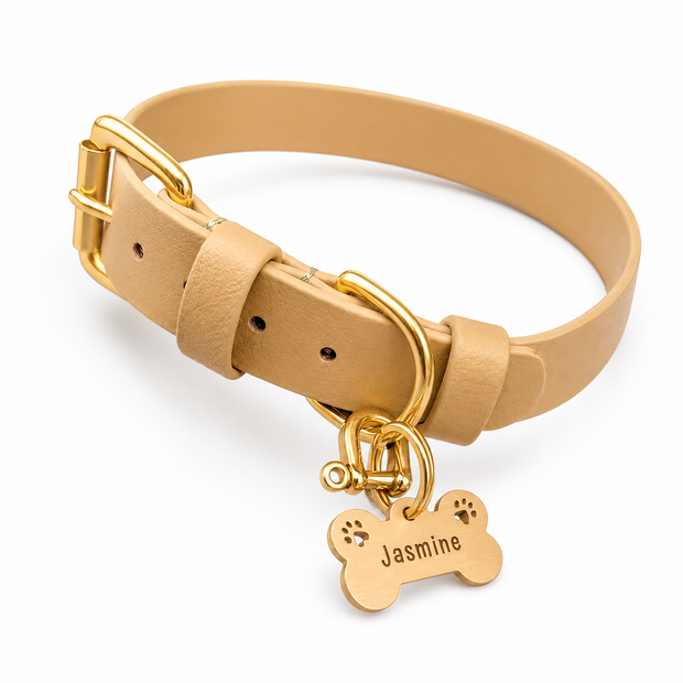Bone-shaped engraved brass dog tag on a tan collar