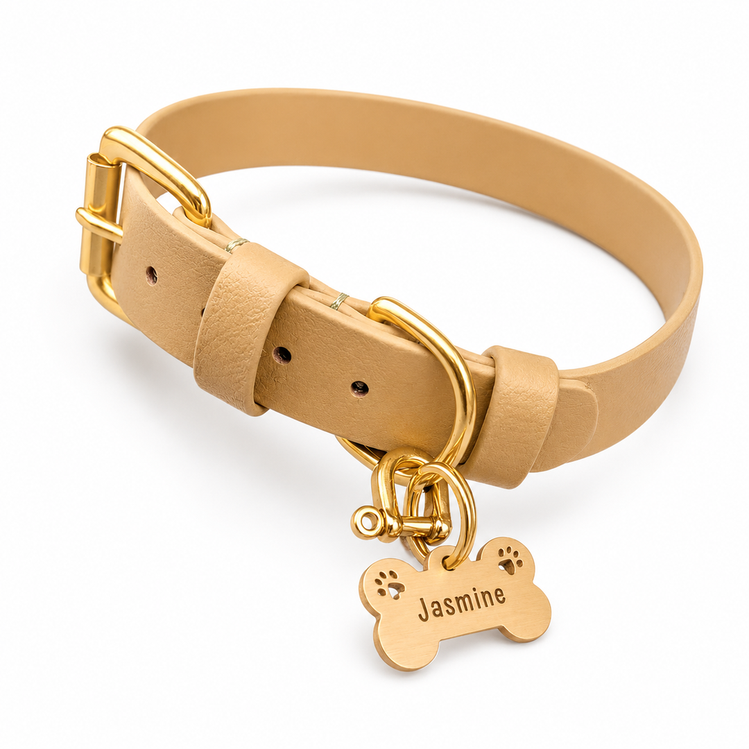 Dog Tag - Mackenzie & George british Dog Collar Best