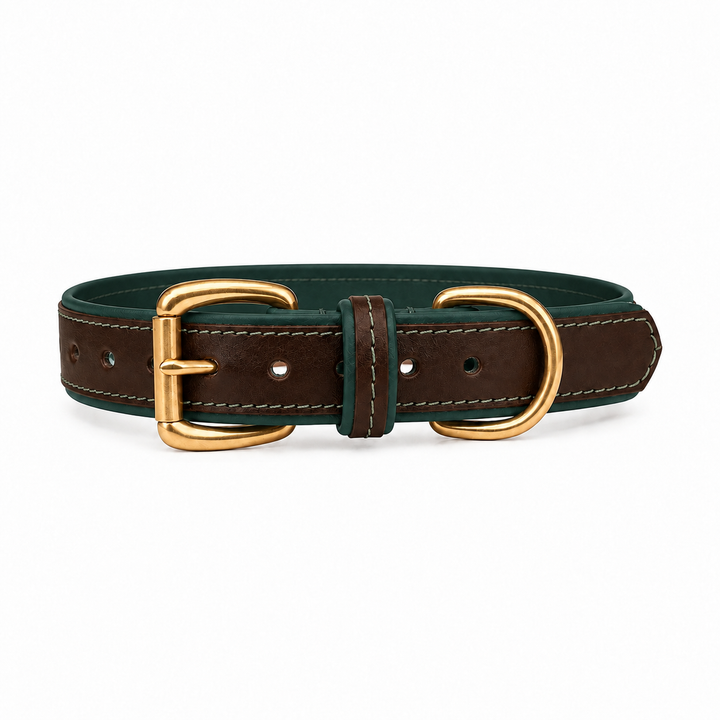 Mackenzie &amp; George two-tone All Weather Dog Collar in dark green, studio product image