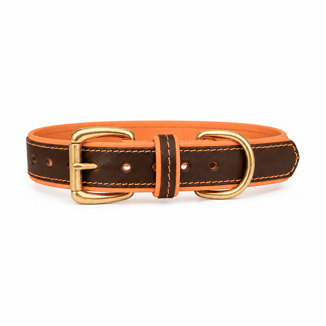 Mackenzie & George two-tone All Weather Dog Collar in orange, studio product image