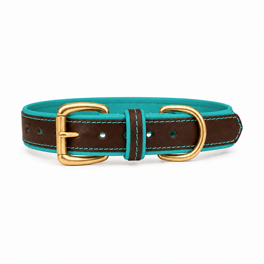 Mackenzie & George two-tone All Weather Dog Collar in turquoise, studio product image