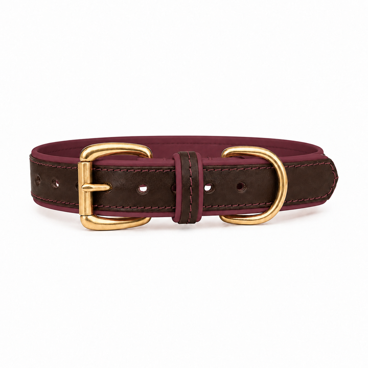 Mackenzie &amp; George two-tone All Weather Dog Collar in wine, studio product image