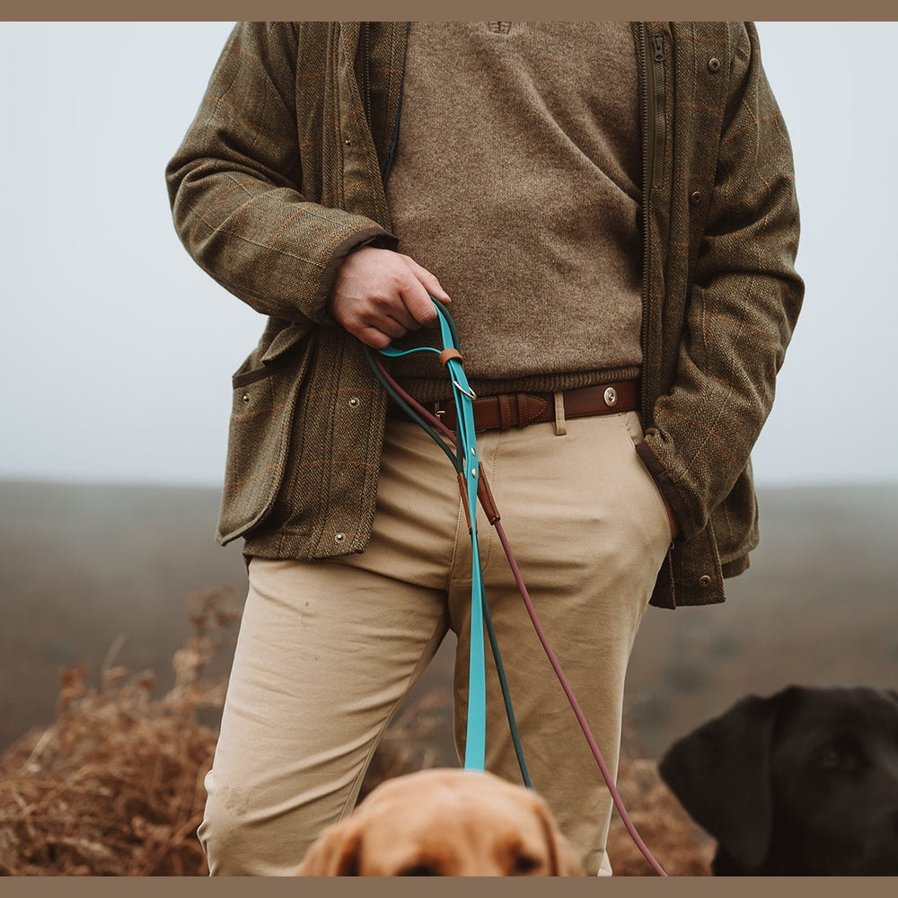 Handler holding turquoise Biothane leads beside Labradors