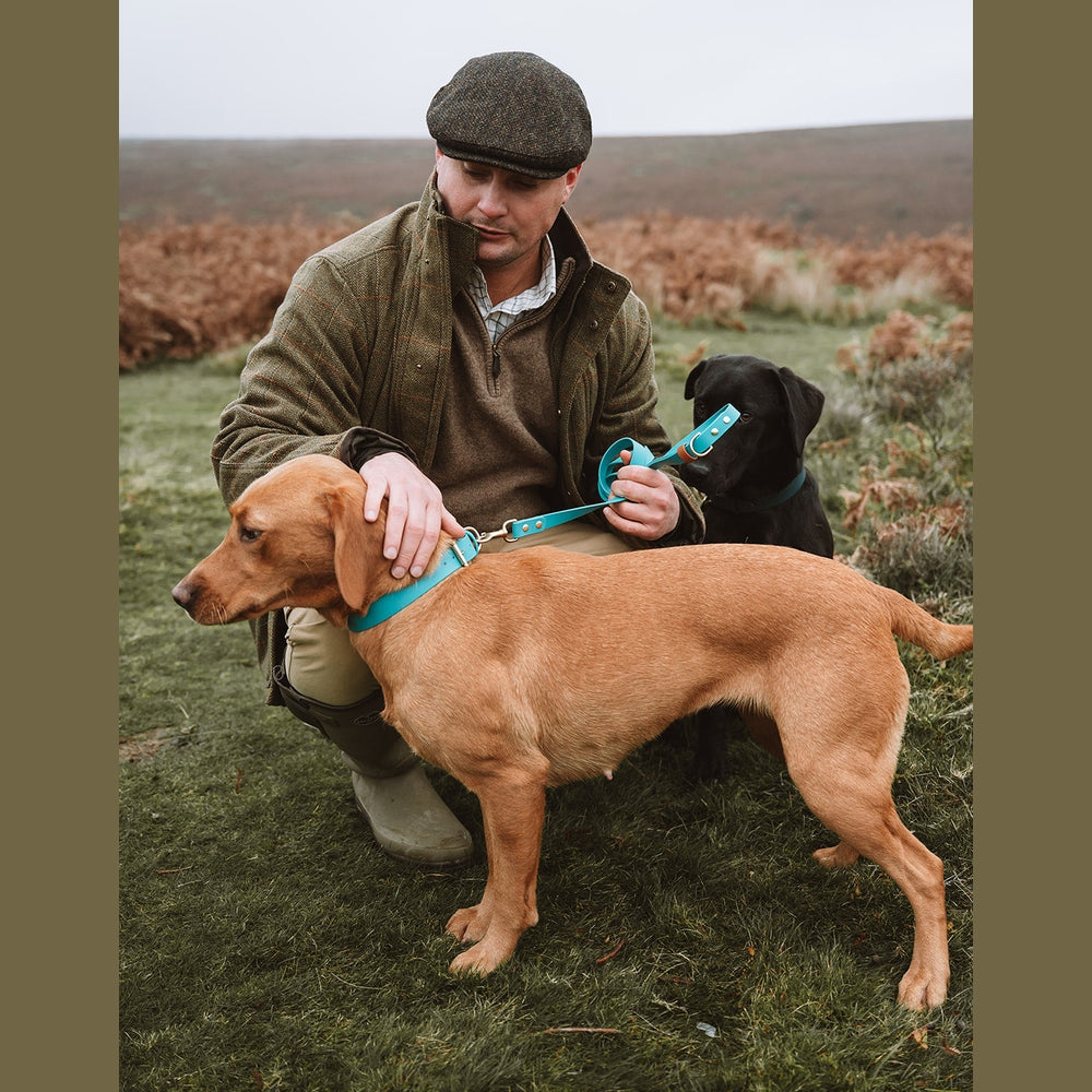 Handler with yellow and black Labradors wearing Biothane collars