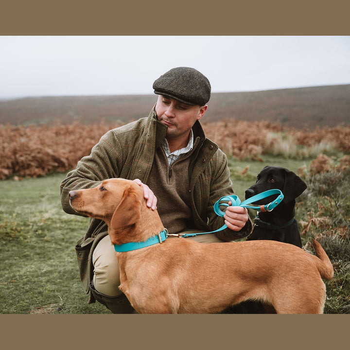 Handler with two Labradors and turquoise Biothane leads