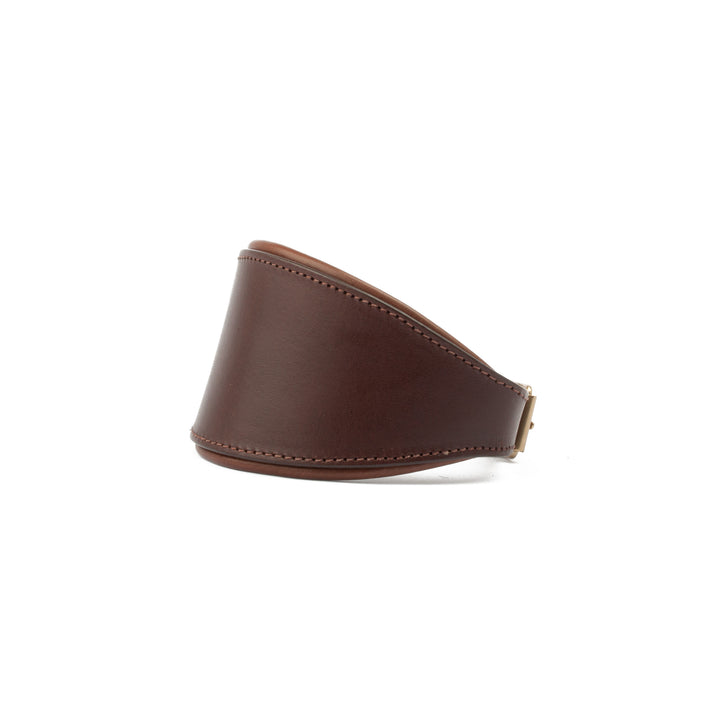 Sighthound Padded Dog Collar