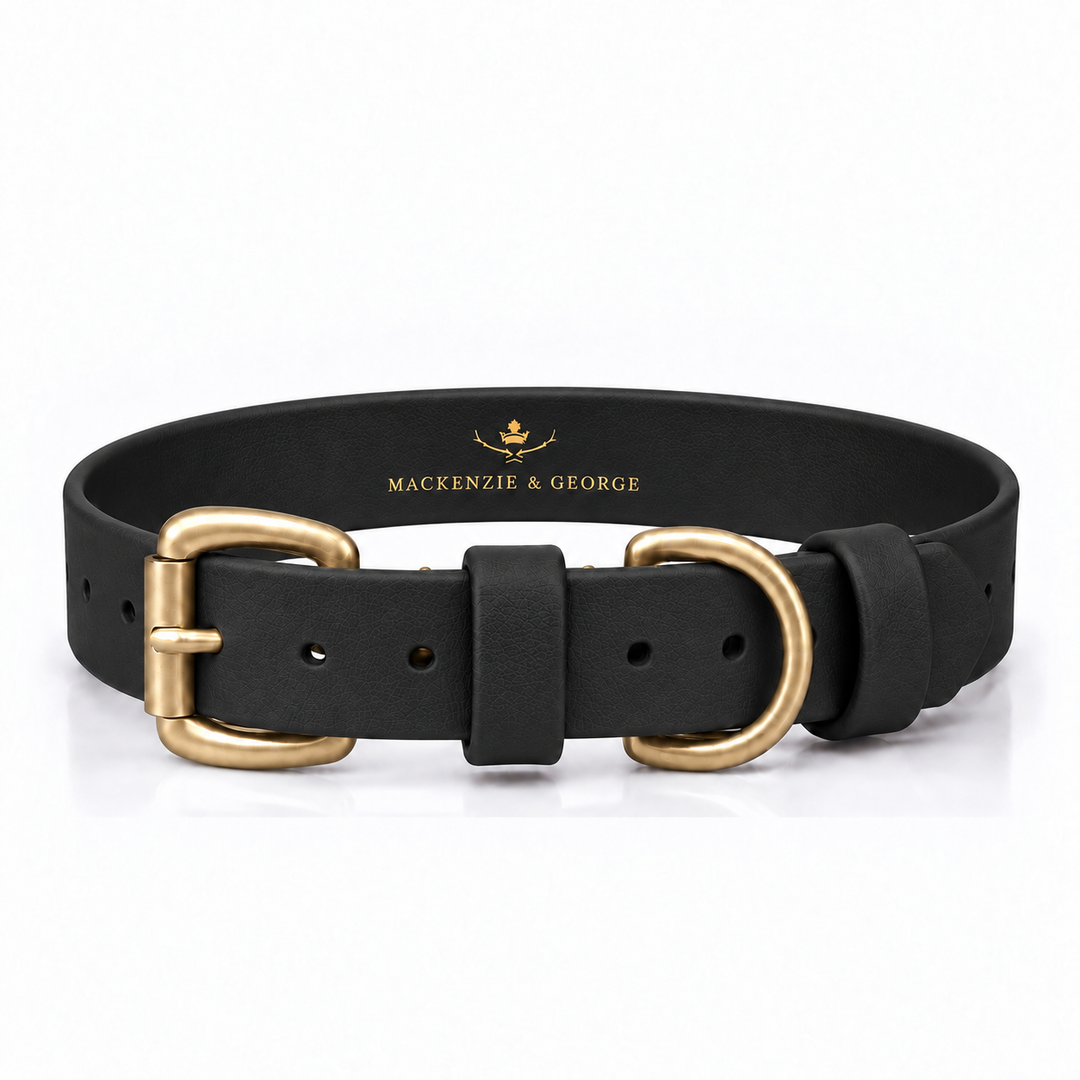 Mackenzie & George All Weather Dog Collar in Black with brass hardware