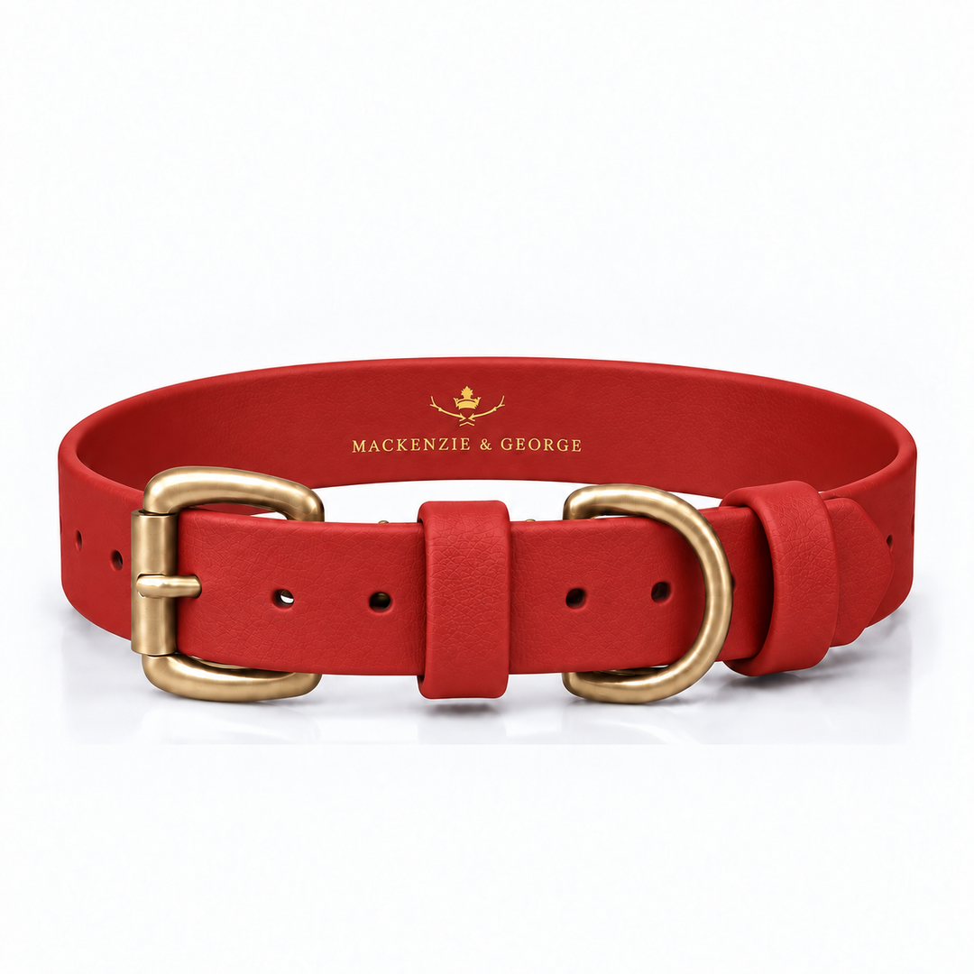 Mackenzie & George All Weather Dog Collar in Cherry with brass hardware
