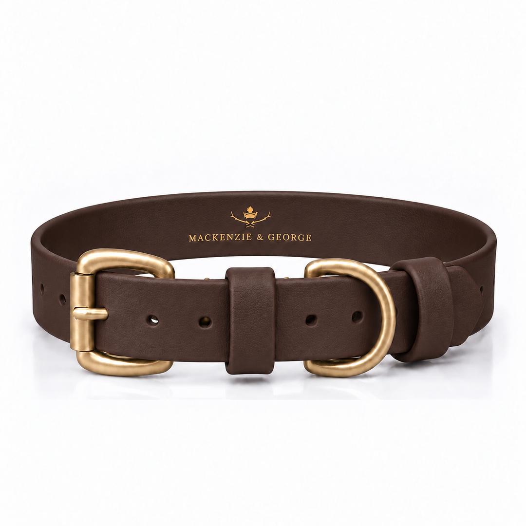 Mackenzie & George All Weather Dog Collar in Dark Brown with brass hardware