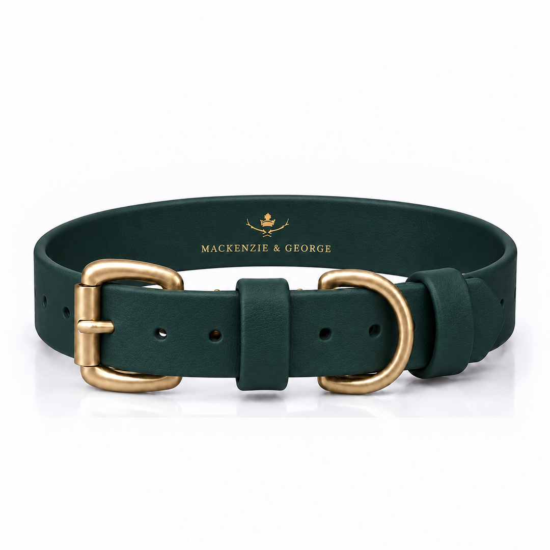 Mackenzie & George All Weather Dog Collar in Dark Green with brass hardware