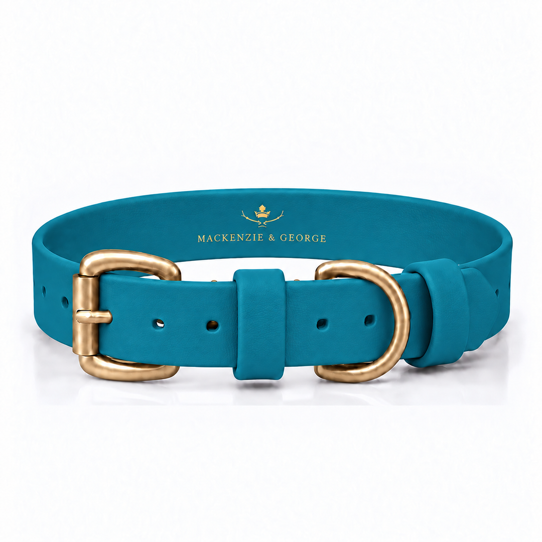 Mackenzie & George All Weather Dog Collar in Lagoon with brass hardware