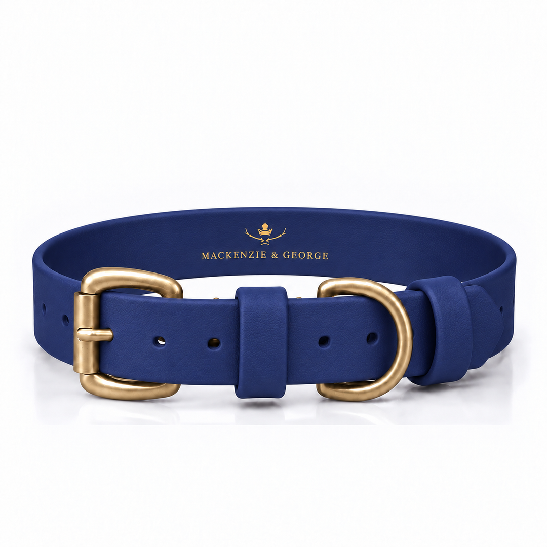 Mackenzie & George All Weather Dog Collar in Navy Blue with brass hardware