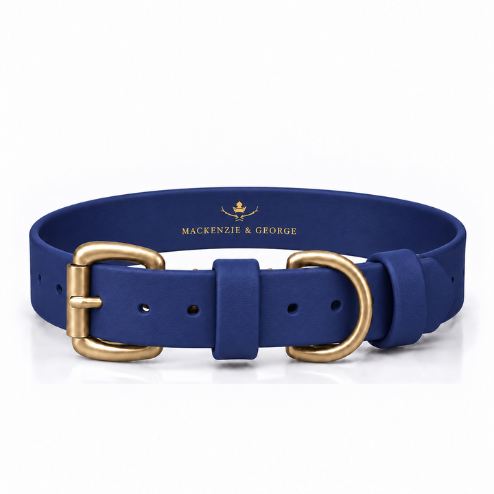 Mackenzie &amp; George All Weather Dog Collar in Navy Blue with brass hardware