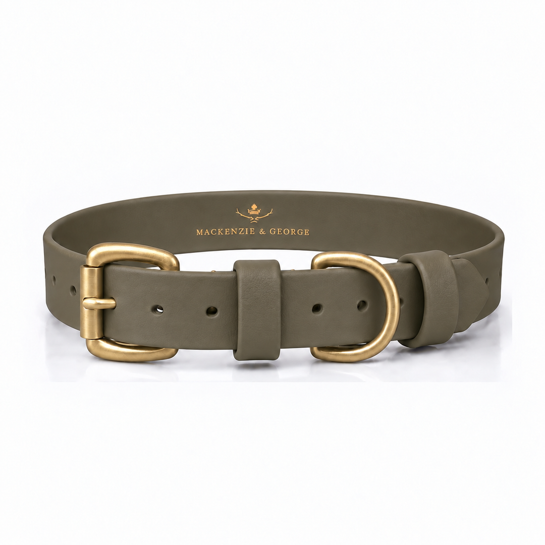 Mackenzie & George All Weather Dog Collar in Olive with brass hardware