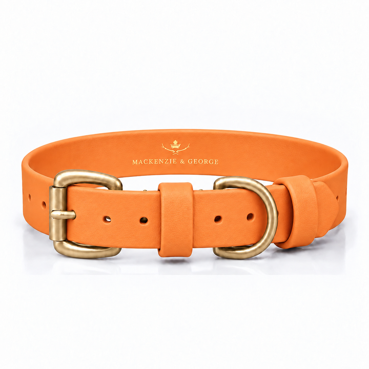 Mackenzie &amp; George All Weather Dog Collar in Orange with brass hardware