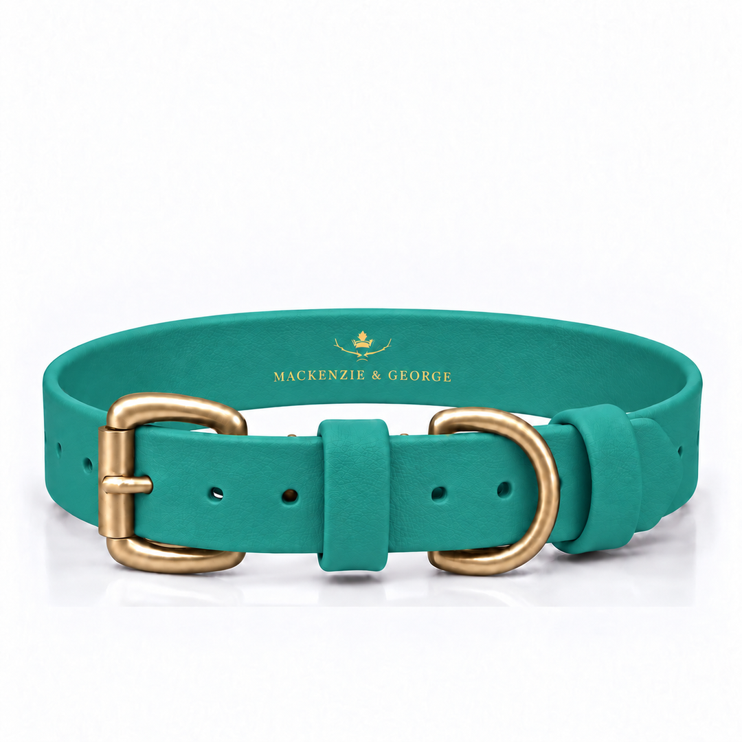 Mackenzie & George All Weather Dog Collar in Turquoise with brass hardware