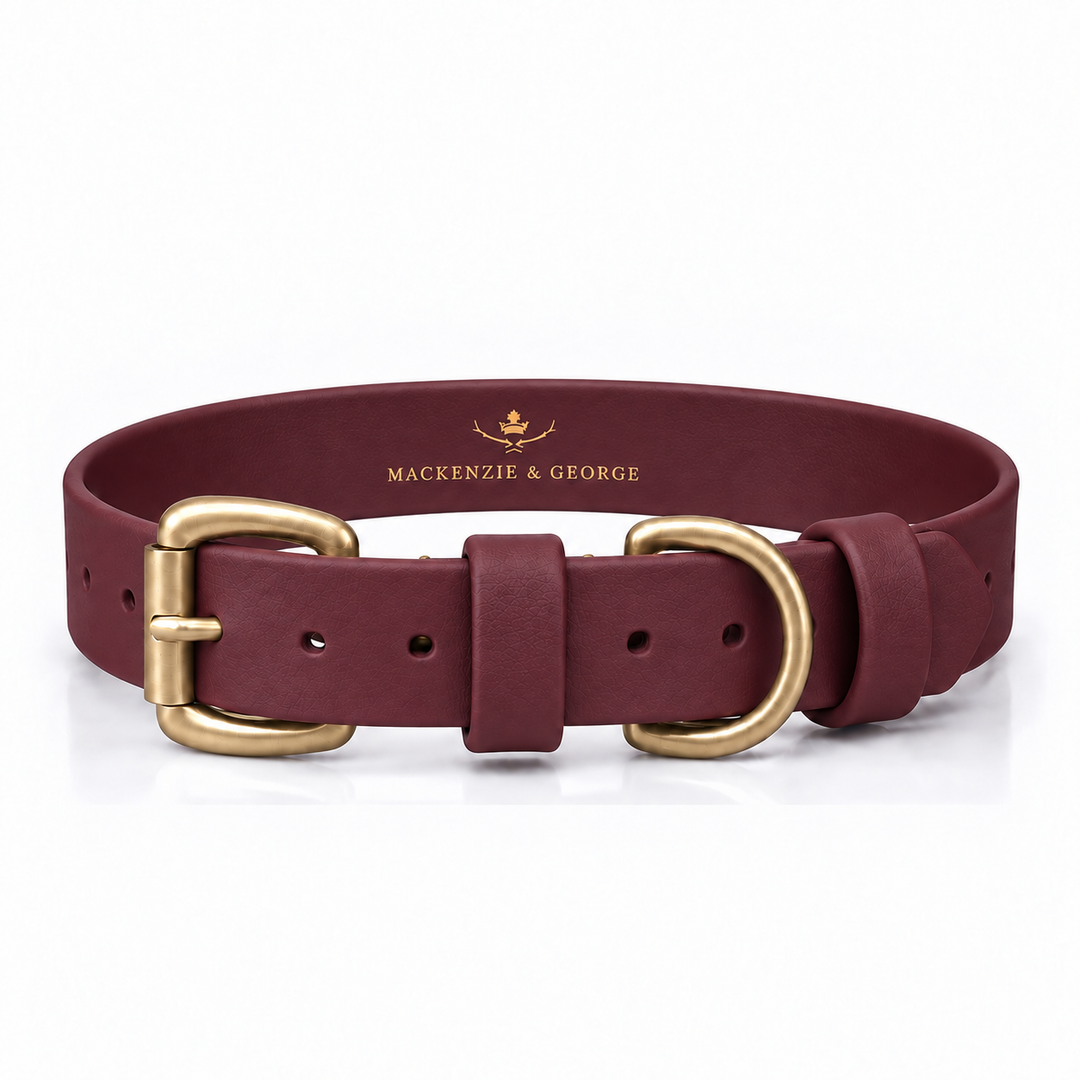 Mackenzie & George All Weather Dog Collar in Wine with brass hardware