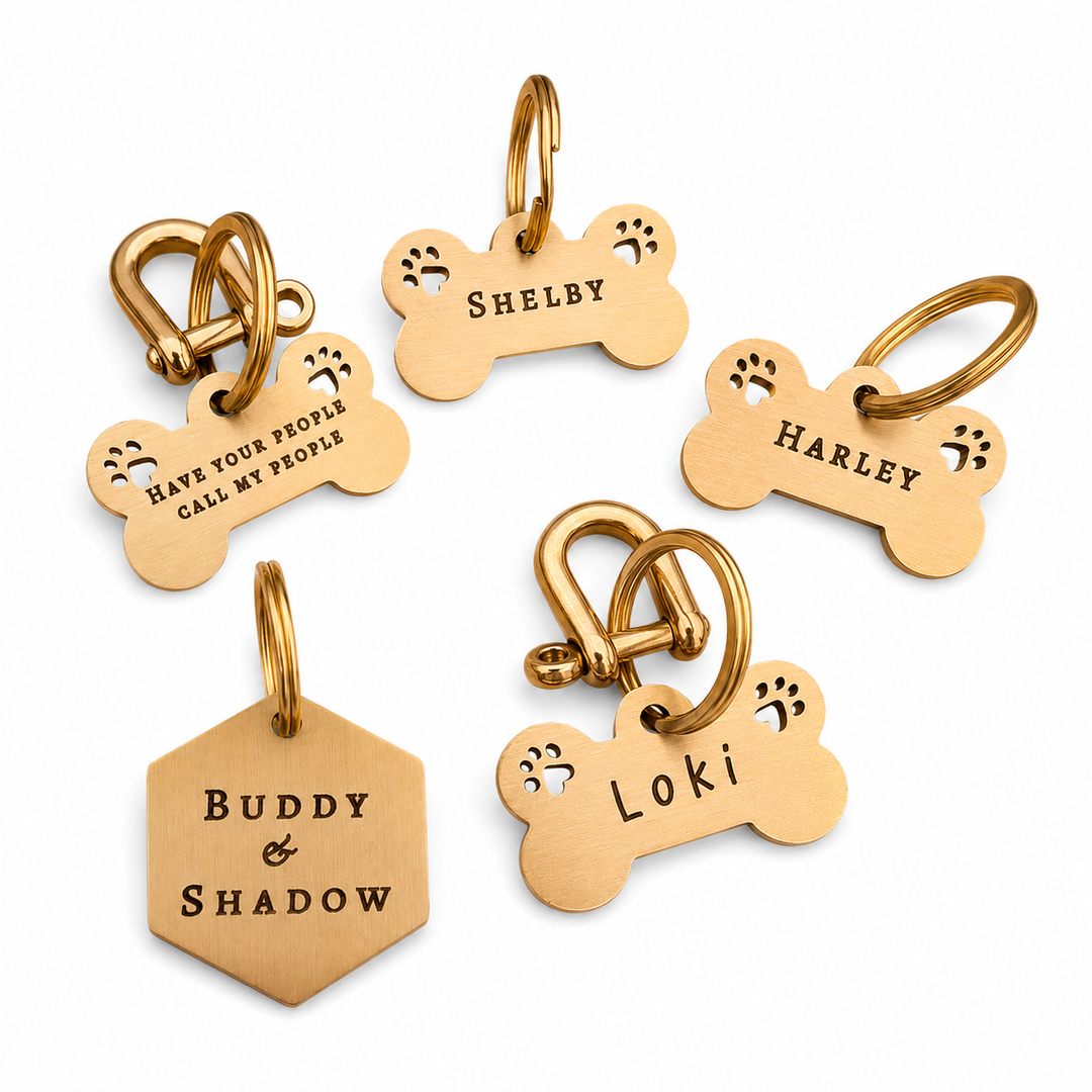 Dog Tag - Mackenzie & George british Dog Collar Best