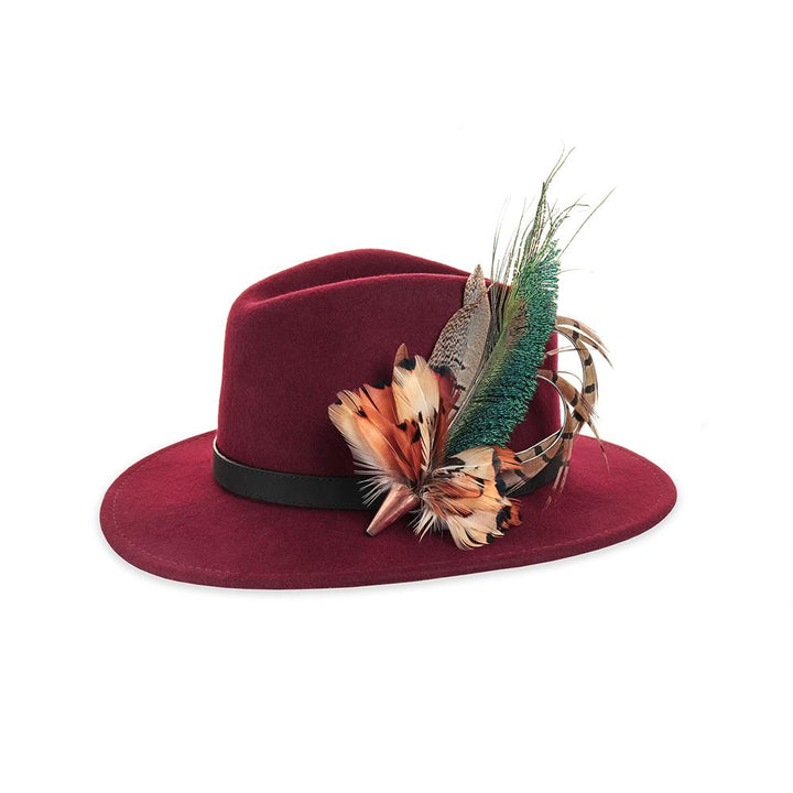 Peacock Swords (Small) feather brooch, on a wine fedora