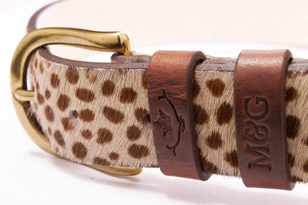 Close-up of the Tetbury Dotty Edition buckle and embossed keepers