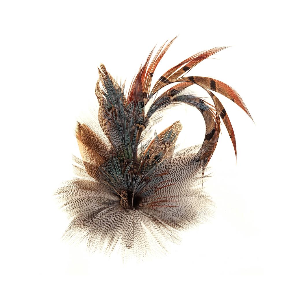 Blue Pheasant and Mallard feather brooch, full view