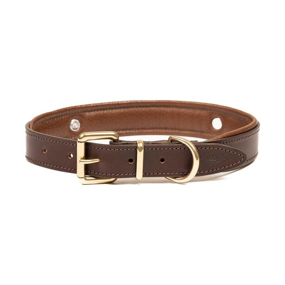 Brown padded cartridge dog collar showing buckle and D-ring