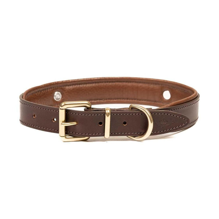 Brown padded cartridge dog collar showing buckle and D-ring